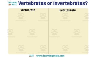 Vertebrates or Invertebrates Activity