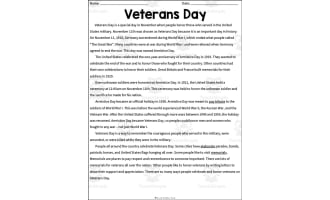 Veteran's Day Coloring Activity