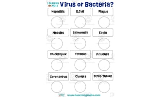 Virus or Bacteria Activity