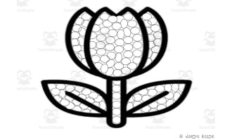 Visual Perception Craft: FLOWERS