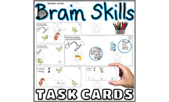 Visual Perception Task Cards Wild Animals