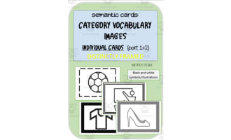 Vocabulary Cards | Individual Images by Semantic Category