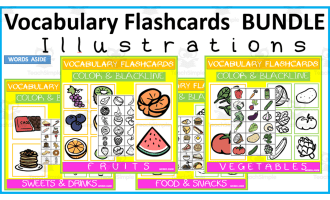 Vocabulary Illustrations Flashcards BUNDLE