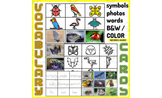 Vocabulary Match to Sample Memory Boards AIR ANIMALS