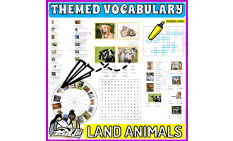 Vocabulary with Flash Cards |Crossword Wordsearch Anagram LAND ANIMALS
