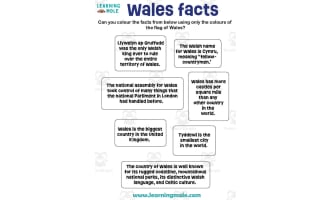Wales Facts Activity
