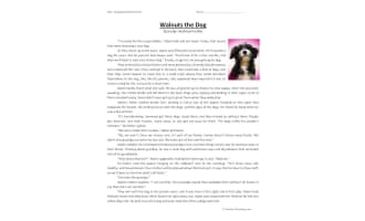 Walnuts the Dog Reading Comprehension Worksheet