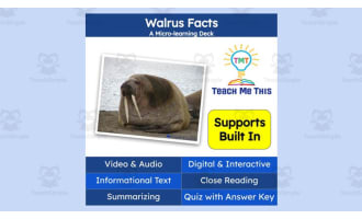 Walrus Facts | Interactive Science Lesson | Micro-Learning Deck