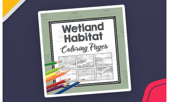 Wetland Habitat Coloring Pages | Line Art Templates | Biome Art Project