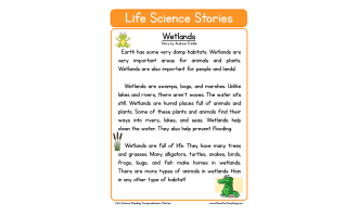 Wetlands Life Science Reading Comprehension Worksheet