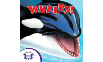 Whales Know-It-Alls! Audio Book