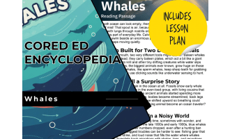 Whales Reading Comprehension Passage - Cored Ed Encyclopedia