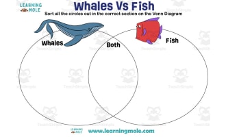 Whales vs Fish Activity