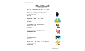 What Animal Is That Reading Comprehension Worksheet