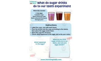 What Do Sugar Drinks Do To Our Teeth Experiment