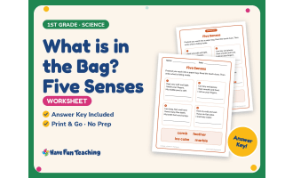 What is in the Bag? Five Senses Worksheet – 1st Grade Anatomy Practice