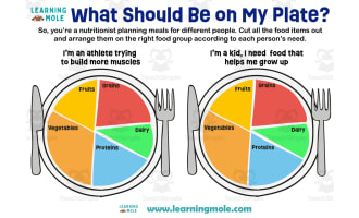 What Should Be on My Plate Activity