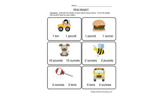 What Weight? Worksheet