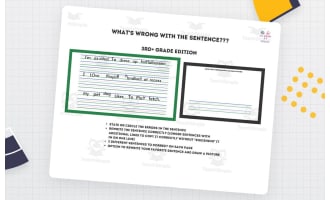 What's Wrong With the Sentence? | Grammar Worksheet Set for 3rd Grade
