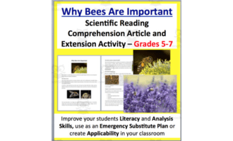 Why Bees Are Important - Science Reading Article - Grades 5-7