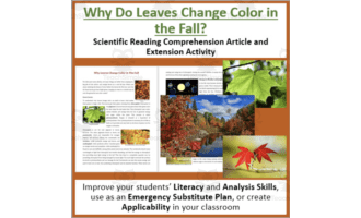 Why Leaves Change Color In The Fall Reading Comprehension Article