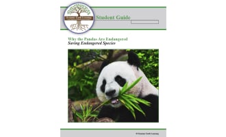 Why The Pandas Are Endangered: Digital Science Lesson & Worksheets