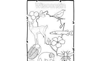 Wisconsin State Symbols Clip Art
