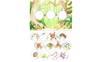 Woodland Food Chain Printable Activity
