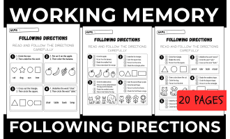 Working Memory, Paying Attention, Listening, and Following Instruction