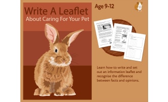 Write A Leaflet On Caring For Your Pet (9-12 years)