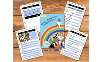 Writing And Comprehension Practice: Zoggy At The Soft Play (4-8 years)