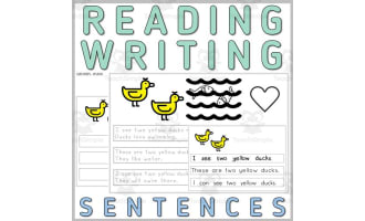 Writing Reading Simple Sentence Task Card SpEd Autism Station Center 3