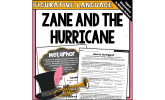 "Zane and the Hurricane" Novel Study Figurative Language Activities