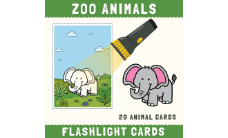 Zoo Safari animals flashlight cards hidden picture activity
