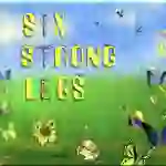 "6 Strong Legs" Math Song