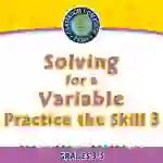 Algebra: Equations - Solving for a Variable - Practice the Skill 3 - FLASH-MAC