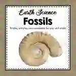 All About Fossils | Earth Science Unit