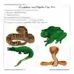 Amphibians and Reptiles Clip Art