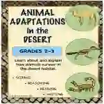 Animal Adaptations in the Desert by Teach Simple