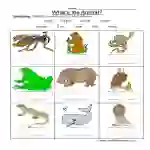 Animal Names Worksheet