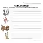 Animal Sentence Worksheet