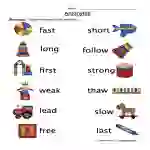Antonyms Matching Pictures Worksheet