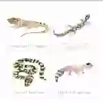 Australian Reptiles Flashcards and Poster Set | Australian Nature Study Printable