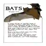 BATS Gr. 3-5