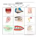Body Parts Worksheet