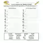 Categorizing Living and Non-Living Things Worksheet