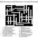 Cell Structure and Function Crossword Puzzle