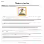Chrysanthemum Worksheet