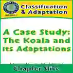 Classification & Adaptation: A Case Study: The Koala and Its Adaptations Gr. 5-8