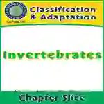 Classification & Adaptation: Invertebrates Gr. 5-8